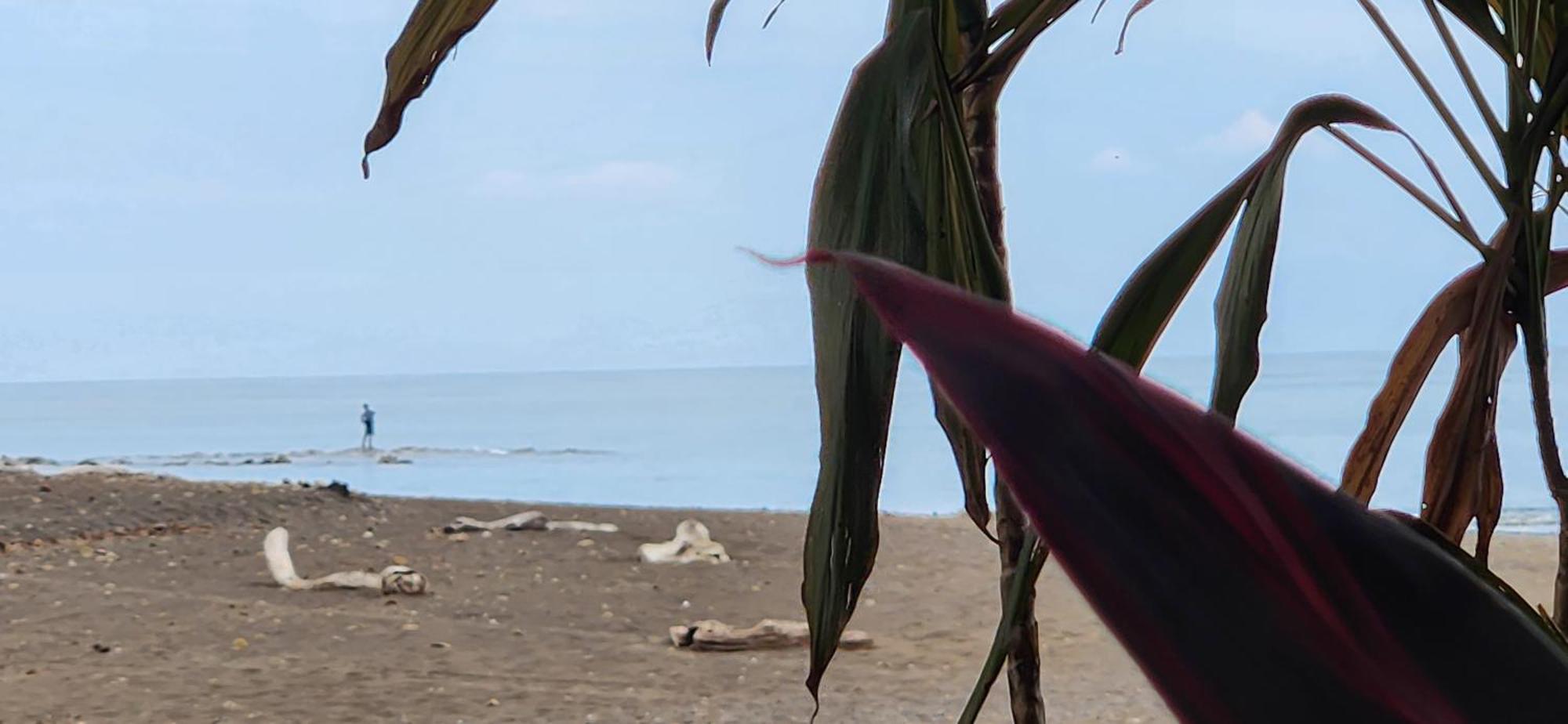 Macaw Paradise Jacó Zewnętrze zdjęcie