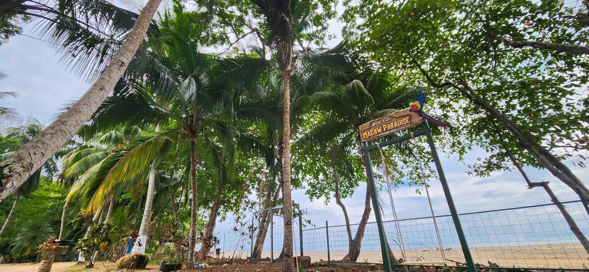 Macaw Paradise Jacó Zewnętrze zdjęcie